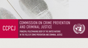 Second Intersessional Meeting of the Commission on Crime Prevention and Criminal Justice